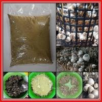 ราคา อาหารเสริมเห็ดฟาง เห็ดนางฟ้า ออกดอกดี ดอกใหญ่ มีน้ำหนักดี บรรจุ 600 กรัม ช่วยเร่งการขยาย และกระตุ้นเชื้อเห็ดให้เดินดี (17522471477)