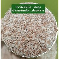 ราคา ข้าวสังข์หยดพัทลุง 1กก.ข้าวออร์แกนิก ปลอดสาร ดีต่อสุขภาพ หอม นุ่ม (28676316465)