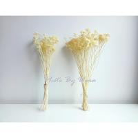 ราคา อคิเลีย ดอกไม้แห้ง ดอกหญ้าแห้ง หญ้าแห้ง DIY ดอกหญ้า ตกแต่ง พร้อพถ่ายรูป (2961593432)