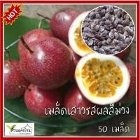 ราคา 50 เมล็ด เสาวรสผลสีม่วง เมล็ดเสาวรสสีม่วง เสาวรสสีม่วง Passion Fruit แพสชั่นฟรุต กะทกรกฝรั่ง (8115220419)