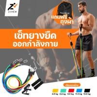 ราคา ZVN เซ็ทยางยืดออกกำลังกาย หุ้มยาง แรงต้าน 5 ระดับ ยางยืดหูจับ สายแรงต้าน ชุด 5 เส้น ยางยืดแรงต้าน (21516657725)