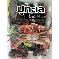 ราคา ปูสด , ปูทะเลไข่สด เนื้อแน่น เต็มตัว ไข่เยอะ (28474778538)