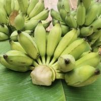 ราคา กล้วยน้ำว้าจากสวน ดูแลด้วยวิถีเกษตรอินทรีย์ (23626003518)