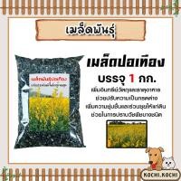 ราคา เมล็ดพันธุ์ปอเทือง บรรจุ 1กิโลกรัม เมล็ดปอเทือง เม็ดปอเทือง สายพันธ์ปอเทือง พันธุ์ปอเทือง เม็ดพันธุ์ปอเทือง ดอกปอเทือง (26765471246)