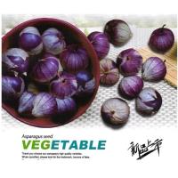 ราคา เมล็ดพันธุ์ เคพกูสเบอร์รี่ 200-300เมล็ด Cape Gooseberry เมล็ดโทงเทงฝรั่ง เมล็ดระฆังทอง (10706230552)