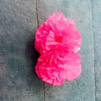 ราคา ต่างหูหนีบดอกไม้ทองกวาวย้อนยุค (1927861795)