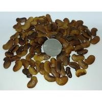 ราคา ขายส่ง 120 เมล็ด เมล็ดพันธุ์พะยูงเวียดนาม Dalbergin tonkinensis ราชาแห่งไม้เนื้อแข็ง ไม้เศรษฐกิจอนาคต ไม้ทรงคุณค่า (1963865518)