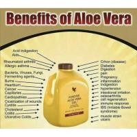 ราคา น้ำว่านหางจระเข้ “Forever Aloe Vera Gel” ( ฟอร์เอเวอร์อโลเวร่า ) (8237284347)