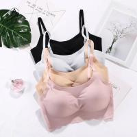 ราคา ใหม่ผู้หญิงเกาหลีชุดชั้นใน Breathable กีฬา Bra ชุดชั้นในเซ็กซี่ Sweaty Genie Bra (5435206807)