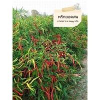 ราคา เมล็ดพันธุ์พริกยอดสน เมล็ดพันธุ์พื้นบ้าน200เมล็ด (27510793513)