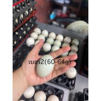 ราคา ไข่เป็ดซีพีเบอร์2=30ฟอง เปลือกหนา ฟองใหญ่ไข่แดง (26821933780)