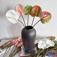 ราคา ดอกหน้าวัว ดอกไม้ปลอม สเหมือนจริง(มีหลายสี) ดอกไม้แต่งแจกัน(พร้อมส่ง) ( ดอกหน้าวัว ) (26174821571)