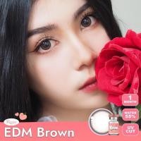 ราคา มีค่าสายตา Rozelens EDM Gray Brown บิ๊กอาย สุดปัง คอนแทคเลนส์ รายเดือน มีอย แถมตลับฟรี เลนส์นิ่ม สวยปังมาก (26674854107)