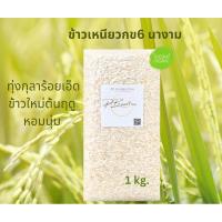 ราคา ข้าวเหนียว กข.6 นางาม ทุ่งกุลาร้อยเอ็ด หอมนุ่ม ข้าวออร์แกนิก 1 กิโลกรัม (24103826732)