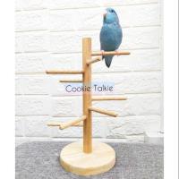 ราคา บันไดวน ของเล่นนก เลิฟเบิร์ด ฟอพัส หงษ์หยก (7539830664)