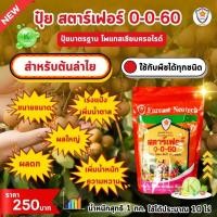 ราคา ลำไย ผลใหญ่ ผลดก ขยายขนาด เพิ่มน้ำหนัก เพิ่มคุณภาพ ผลผลิต ด้วย ปุ๋ยโพแทสเซี่ยมคลอไรด์ สตาร์เฟอร์ 0-0-60 (24875089503)