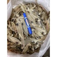 ราคา ปลาลิ้นหมาหรือปลาตาเดียวตากแห้งแพ็คขนาดครึ่งกิโลกรัม (17373976992)