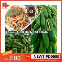 ราคา #พันธุ์มะละกอแขกนวล-ดำเนิน#300+เมล็ด#แขกนวล (4215710862)