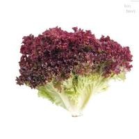 ราคา 20เม็ดสีม่วงสีเขียวผักกาดหอม20เมล็ดสีม่วงสีเขียวผักกาดหอมเมล็ด seeds seeds seeds XBD9 (21923845386)