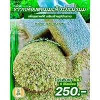 ราคา ข้าวกล้องหอมมะลิน้ำนม 5 กิโล ตรามีสุข (หอม อ่อนนุ่ม เป็นพิเศษ) ซีลสูญญากาศถุงละ 1 กิโล 5 ถุง (16097252427)