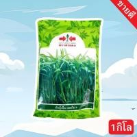 ราคา ผักบุ้งจีน(พันธุ์ไผ่เงิน) ศรแดง เมล็ดผักบุ้ง 1 กิโลกรัม (25885077871)