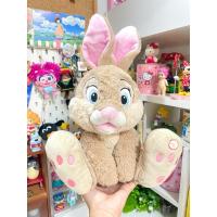 ราคา ตุ๊กตาน้องกระต่าย Miss Bunny ขนาด 15 นิ้ว ป้าย Disney ของแท้จากญี่ปุ่น (29130751087)
