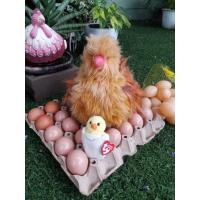 ราคา เซทตุ๊กตา​ไก่+ไข่ทีวาย.T.Y.ขนาดไก่ยาว12นิ้ว​ ลูกเจี๊ยบ3นิ้วพร้อมไข่สำหรับเล่นเพื่อความสนุก​สนาน​หรือตกแต่งบ้านร้าน (28406056931)