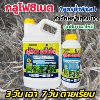 ราคา กลูโฟซิเนต ยาฆ่าหญ้าเผาไหม้ ยาฆ่าหญ้ากลูโฟซิเนต กลูโฟซิเนต-แอมโมเนียม สารกำจัดวัชพืช หญ้าปากควาย หญ้านกสีชมพู กก แห้วหมู (18090127401)