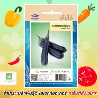 ราคา มะเขือยาว สีม่วง เจียไต๋ เมล็ดพันธุ์มะเขือยาว มะเขือยาวม่วง (898648630)