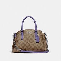 ราคา #Coach MINI SAGE CARRYALL IN SIGNATURE CANVAS (COACH F29434) ถังมินิ RN092816 (17828177630)