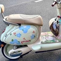 ราคา สติกเกอร์ติดรถยนต์ไฟฟ้าลายดอกไม้นำโชคสติกเกอร์ตกแต่งลายดอกไม้เบอร์9แบตเตอรี่รถยนต์ป้องกันรอยขีดข่วนกันน้ำ (27972232607)