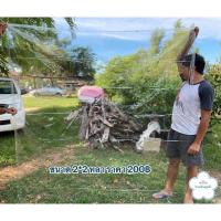 ราคา ผ้าใบใส ผ้ายางใสพลาสติกPVCเกรดเอ พร้อมเย็บขอบและตอกตาไก่ (10016083275)