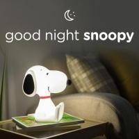 ราคา [DiaryTools] พร้อมส่ง❗️Snoopy touch mood light โคมไฟสนูปปี้ (12812296489)