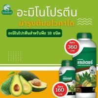 ราคา อะโวคาโด โตไว ใบเขียว ผลใหญ่ แข็งแรง ผลผลิตดี อะมิโนโปรตีนจำเป็นสำหรับพืช 18 ชนิด อะมิโนแรปเตอร์ โดย ไดโนเร็กซ์ (19277780325)