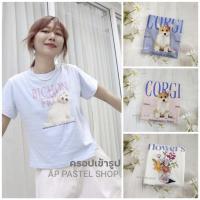 ราคา เสื้อทรงพอดีตัว ปิดสะดือ ยาว20 DC (21982119725)