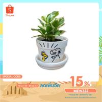 ราคา กระถางต้นไม้เพ้นท์ลาย Snoopy กระถาง 4.3” (3483002424)