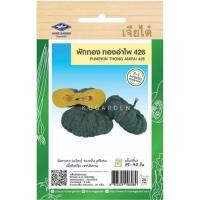 ราคา ฟักทอง ทองอำไพ 426 CT/F1-053 ผักซอง เจียไต๋ F1 ประมาณ 20เมล็ด เมล็ดพันธุ์ผัก เมล็ดพืช ผักสวนครัว (23681162093)