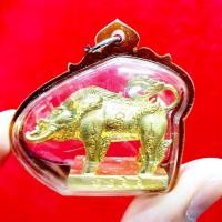 ราคา พญาหมูป่าเขี้ยวเพชร เนื้อกะไหล่ทอง เลี่ยมกรอบกันน้ำ หลวงปู่กาหลงเขี้ยวแก้ว วัดเขาแหลม คุ้มครองแคล้วคลาดปลอดภัยศัตรูพินาศ (20309594647)