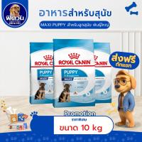 ราคา ROYAL CANIN-Maxi Puppy ลูกสุนัขพันธ์ุใหญ่ ขนาด 10 กก.{อาหารสุนัขเม็ด} (8768247001)