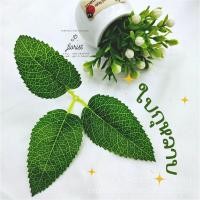 ราคา (แพ็ค 20 ชิ้น) ใบกุหลาบx3 D0811 ใบกุหลาบปลอม ใบไม้ประดิษฐ์ งานฝีมือ ดอกไม้ปลอม ใบไม้ปลอม ใบกุหลาบประดิษฐ์ ใบกุหลาบ DIY (18180722792)