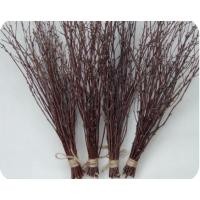 ราคา ต้นขัดมอญตากแห้ง ตกแต่งทั่วไปงาน DIY ชุด20ต้นยาว 1 เมตร (22163143728)