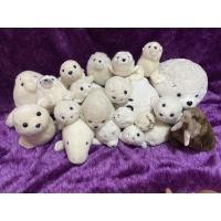 ราคา ตุ๊กตาแมวน้ำ สินค้ามือสองนำเข้าจากญี่ปุ่น (14334207187)