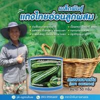 ราคา แตงไทยอ่อน สายเงิน ขนาด 50 กรัม (4037721834)