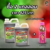 ราคา Set 2 แกลลอน นายพลน้ำปลาร้าแกลลอน แกลลอนละ 500 กรัม แถมฟรี น้ำปลาร้าแม่หญิง 1ขวด (7065319808)