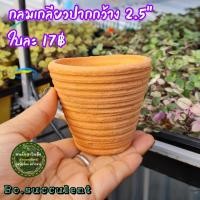 ราคา กระถางดินเผา กลมเกลียวปากกว้าง 2.5" ไม้อวบน้ำแคคตัส ปลูกฮาโวเทีย ใส่ต้นไม้จิ๋วเล็ก เครื่องปั้นดินเผา ของแต่งบ้าน จัดสวน (16647771823)