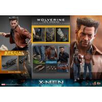 ราคา HOT TOYS MMS660 X-MEN : DAYS OF FUTURE PAST – WOLVERINE (1973) DELUXE SPECIAL (22388152943)