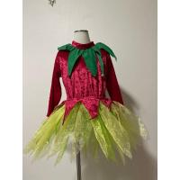 ราคา ชุดแฟนซี ชุดคอสเพลย์เด็กมือสอง ชุดนางฟ้า 67 (29427096523)