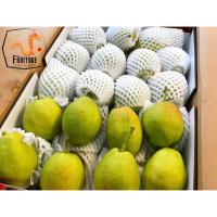 ราคา สาลี่หอม Fragrant Pear (ยกลัง7KG) (CHN) นำเข้า ~ลดพิเศษ~ส่งฟรี~ หอม หวาน อร่อย ! ผลไม้นอก ผลไม้นำเข้า ผลไม้สด Fruitage (7830212441)