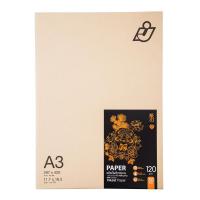 ราคา กระดาษอิงค์เจ็ทเคลือบด้าน A3 120แกรม (50แผ่น) I.J. IPA (20319402129)