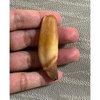 ราคา เขี้ยวหมี วัสดุสวยแท้ (23382008849)